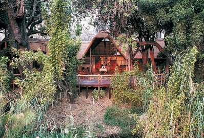  Susuwe Island Lodge, 