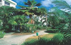  Sandy Beach Island Resort, 