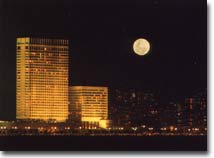 ����� The Oberoi Towers, ����