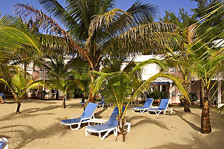 ����� Le Meridien La Cocoteraie, ����