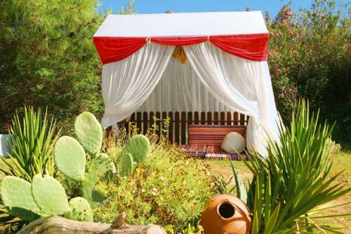����� Magic Life Sarigerme Imperial, ����