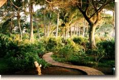 ����� Tamarindo Diria Beach & Golf Resort, ����