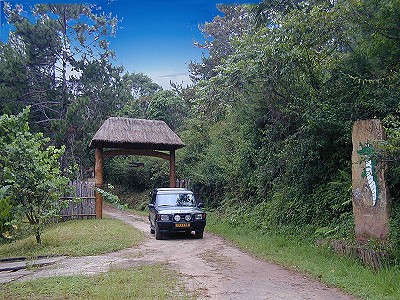 ����� Vakona Forest Lodge, ����