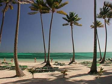 ����� Barcelo Bavaro Palace, ����