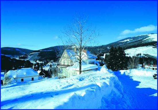����� Miluska Pension, ����