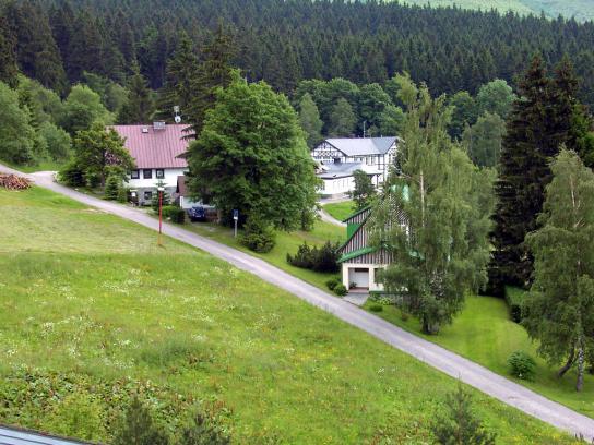 ����� Miluska Pension, ����