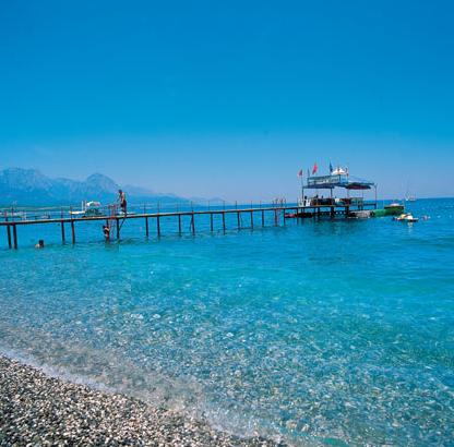 ����� Dragos, ����