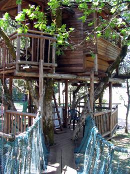 ����� Out 'n' About Treesort, ����