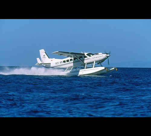 ����� Amanwana, ����