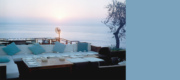 ����� Palm Beach, ����