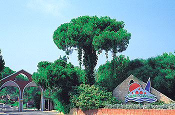 ����� Club Mega Saray, ����