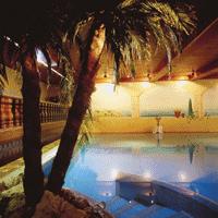 ����� Solaia, ����