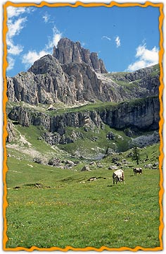 ����� Garni Enrosadira Hotel Vigo di Fassa, ����