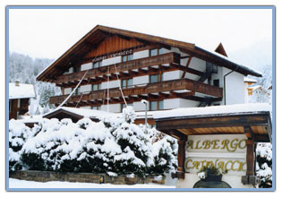 ����� Catinaccio Hotel Vigo di Fassa, ����