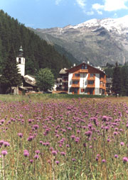 ����� Residence Fioccco di Neve, ����