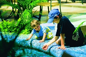 ����� Gloria Verde Resort & SPA, ����