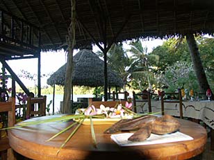 ����� Jungle Village, ����