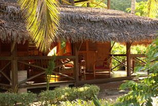 ����� Jungle Village, ����