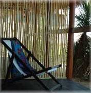 ����� Le Paradisier, ����