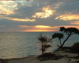 ����� Le Paradisier, ����