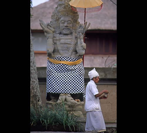 ����� Amandari, ����