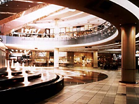 ����� InterContinental Sandton Sun and Towers, ����