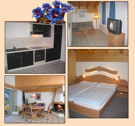 ����� Grindelwalderhof, ����