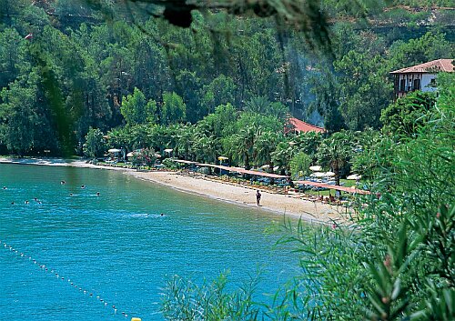 ����� Club Letoonia, ����
