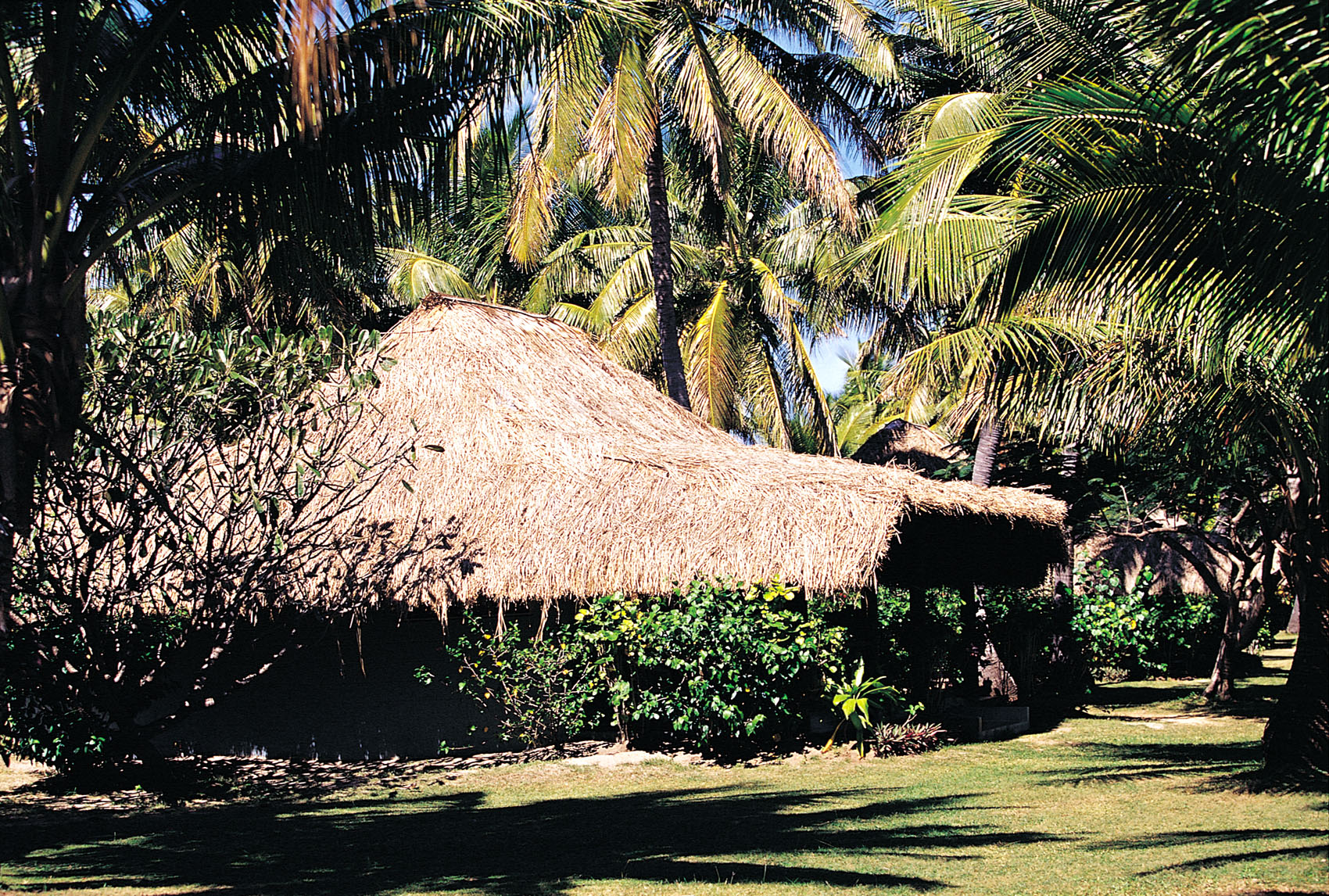 ����� Musket Cove Island Resort, ����