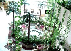 ����� Fiesta Americana Coral Beach, ����