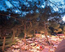 ����� Festival Tekirova, ����