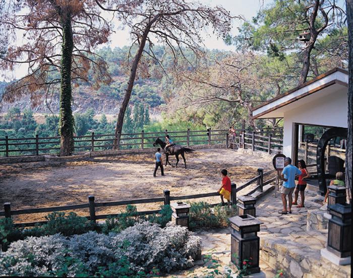 ����� Taksim International (Naturland) Forest Resort, ����