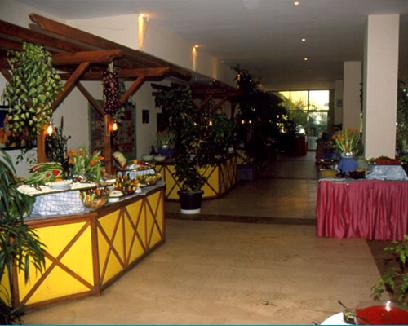 ����� Alara Park, ����