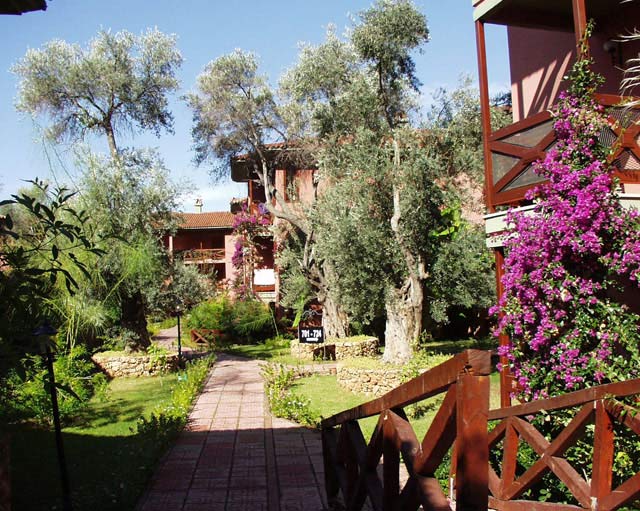 ����� Club Suncity, ����