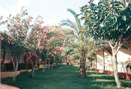 ����� Santa Barbara, ����