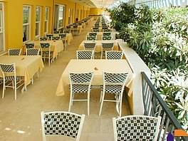 ����� Golden Sun Kleopatra, ����