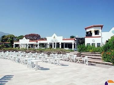 ����� Turtle's Marco Polo Club, ����