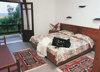 ����� Turtle's Marco Polo Club, ����