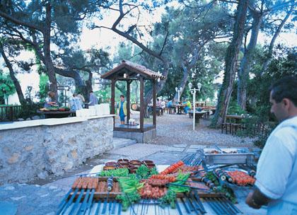 ����� Turtle's Marco Polo Club, ����
