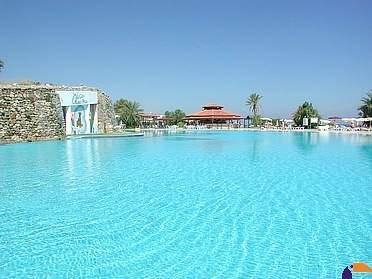 ����� Turtle's Marco Polo Club, ����