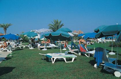 ����� Turtle's Marco Polo Club, ����