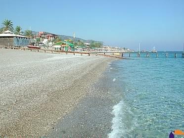 ����� Turtle's Marco Polo Club, ����