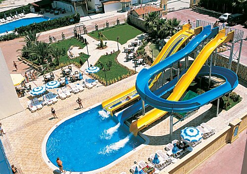 ����� Club Lonicera, ����
