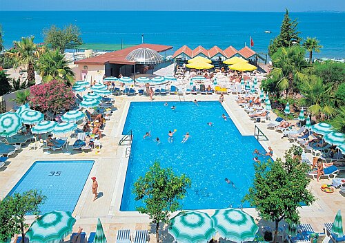 ����� Club Lonicera, ����
