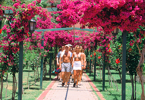 ����� Atli bay, ����