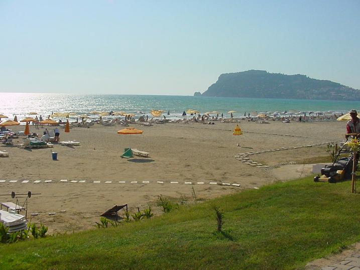 ����� Melani, ����