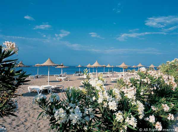 ����� Aldemar Paradise Village, ����