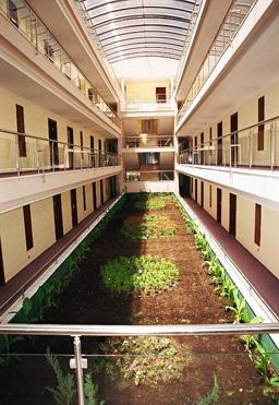����� Club Sunbel, ����
