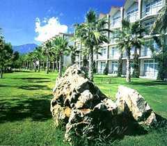 ����� WOW World Palace, ����