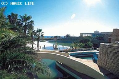 ����� Magic Life Seven Seas Imperial, ����